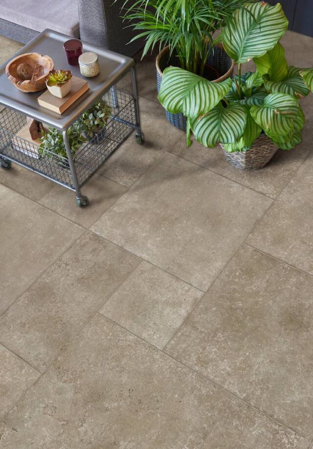 Beige_green-plants-seen-from-above-on-tile-floor